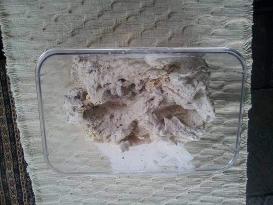 Chocolate Pear ice cream