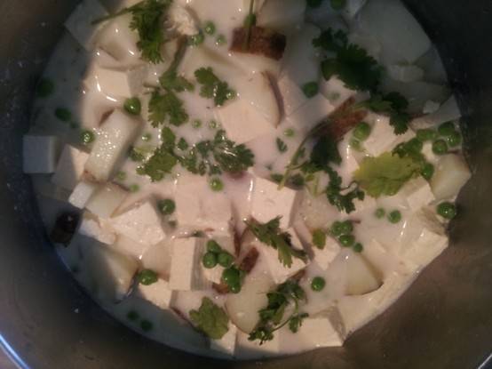 Thai green curry tofu