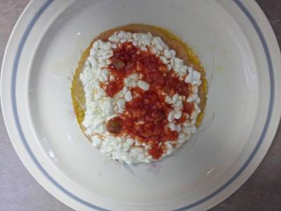 Cottage cheese quesadilla