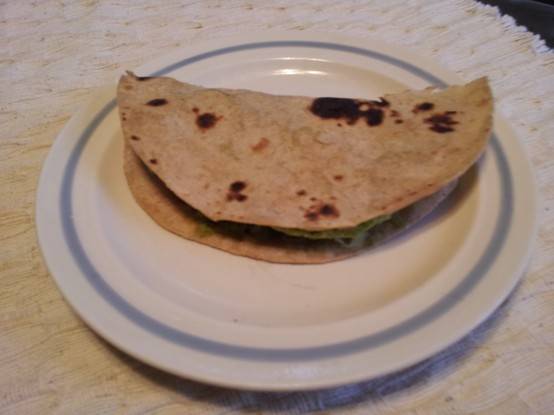 Indian Mexican quesadilla