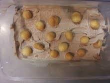 Carob ice cream with macadamia nuts