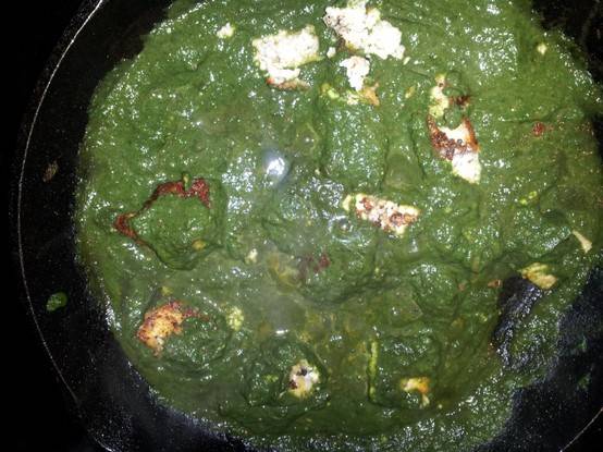 Saag paneer 